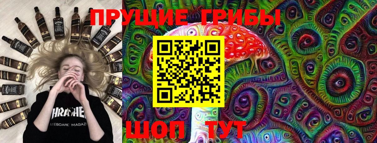 Псилоцибиновые грибы Psilocybe Богородск